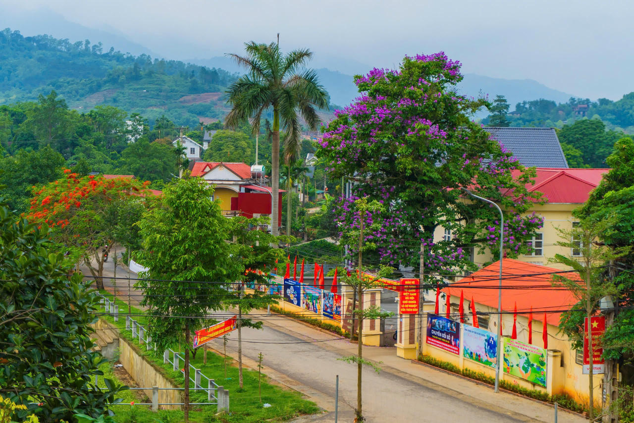 Yên Bài phát triển nông nghiệp giá trị cao gắn với xây dựng nông thôn mới