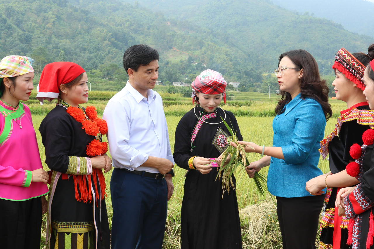 “Hương cốm Hợp Thành” – Khi bản sắc hóa thành thương hiệu