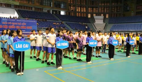 Các đội tham gia giải đấu.