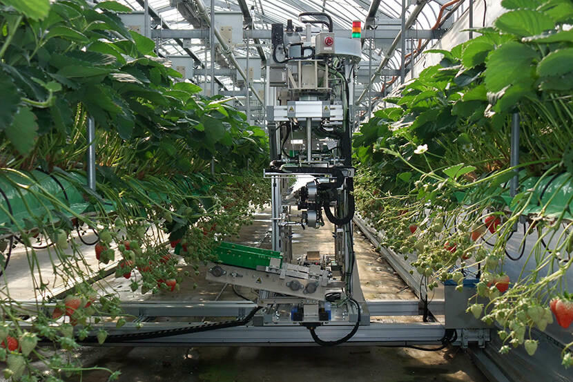 Gia Lai có thêm Dự án nông nghiệp công nghệ cao hơn 450ha