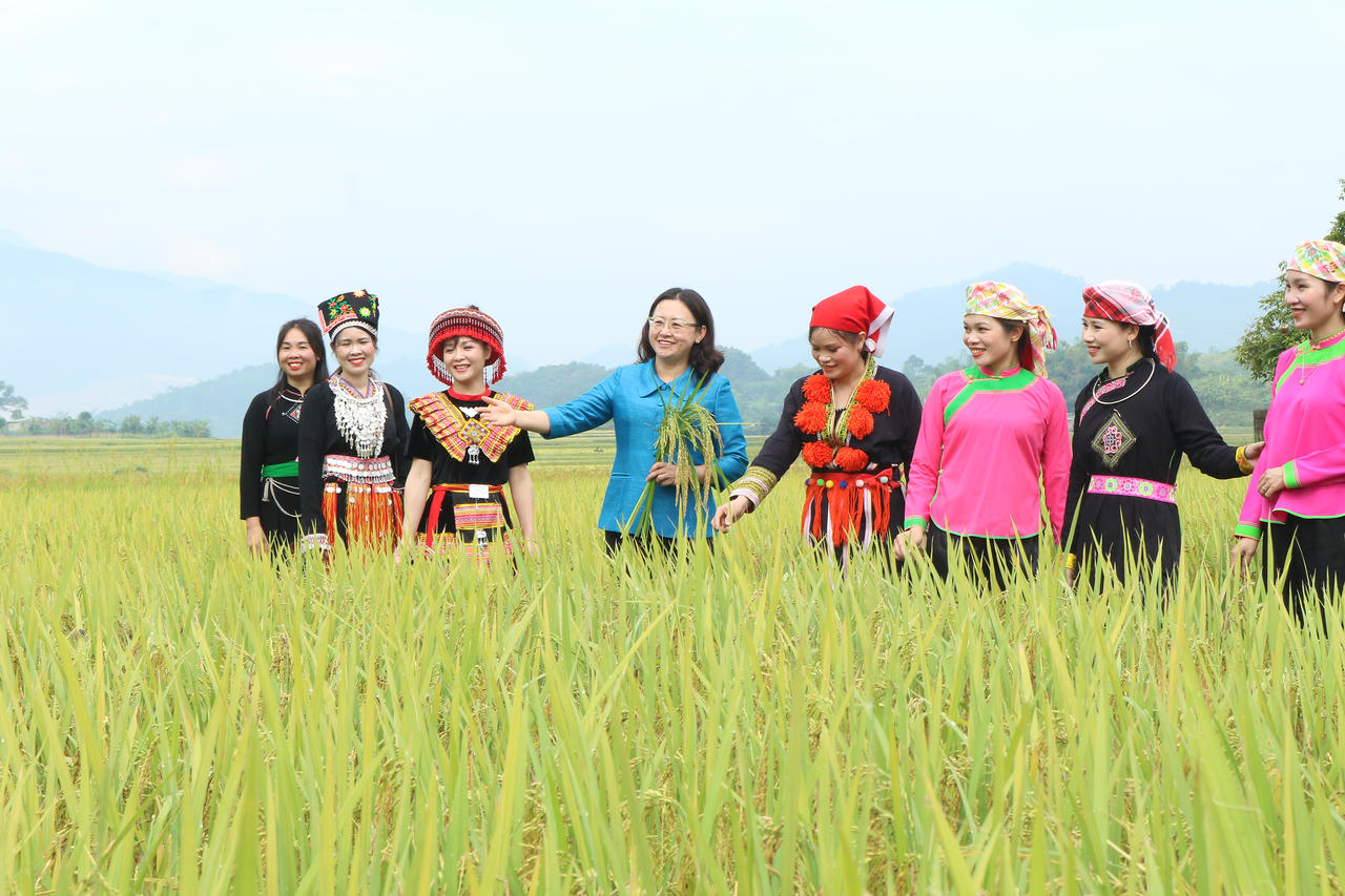 “Hương cốm Hợp Thành” – Khi bản sắc hóa thành thương hiệu