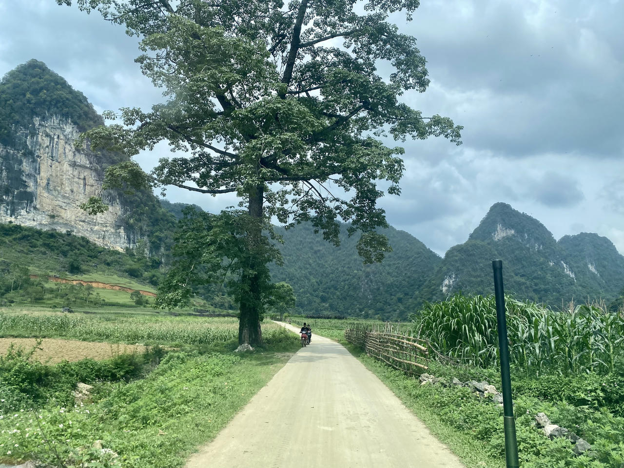 Tăng cường công tác phòng, chống buôn lậu qua biên giới trên địa bàn tỉnh Cao Bằng
