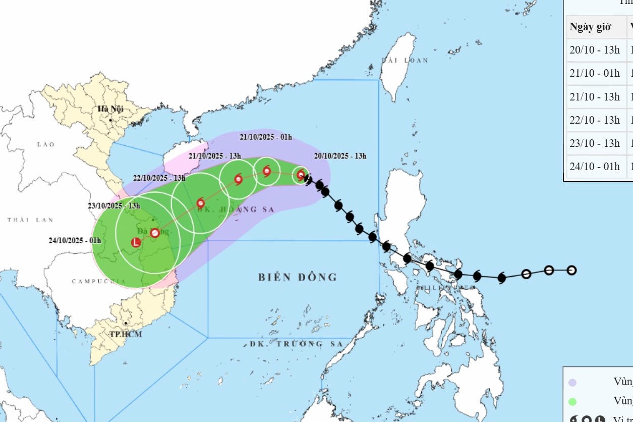 Khu vực nào chịu ảnh hưởng khi bão số 12 đổ bộ?