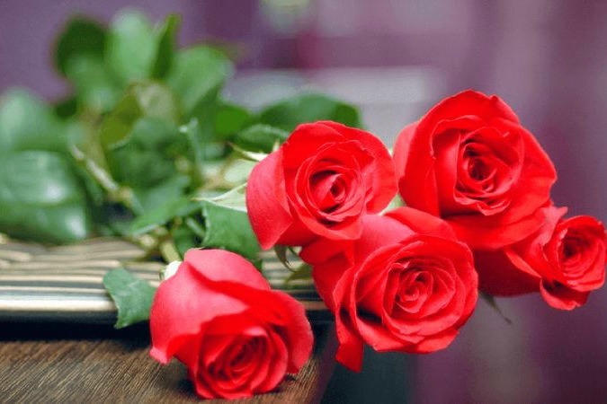 Lời chúc 20/10 ý nghĩa nhất dành tặng phái đẹp