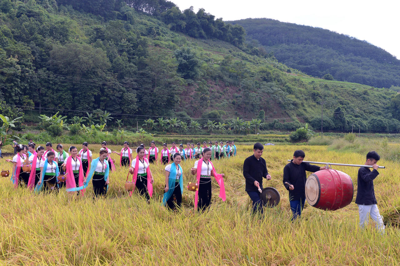 Nghi thức “rước hồn lúa” diễn ra trên cánh đồng Huổi Én (xã Phong Thổ) tôn vinh nghề nông.