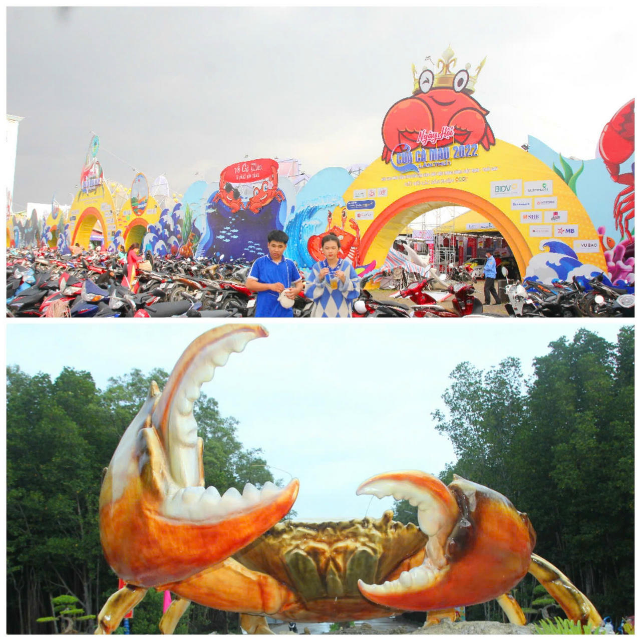 Ngày hội Cua Cà Mau là dịp quảng bá tiềm năng, thế mạnh của tỉnh trên các lĩnh vực kinh tế, văn hóa, du lịch, môi trường và đầu tư; qua đó góp phần thu hút nguồn lực, thúc đẩy phát triển bền vững, khẳng định vị thế Cà Mau là động lực phát triển của vùng ĐBSCL.