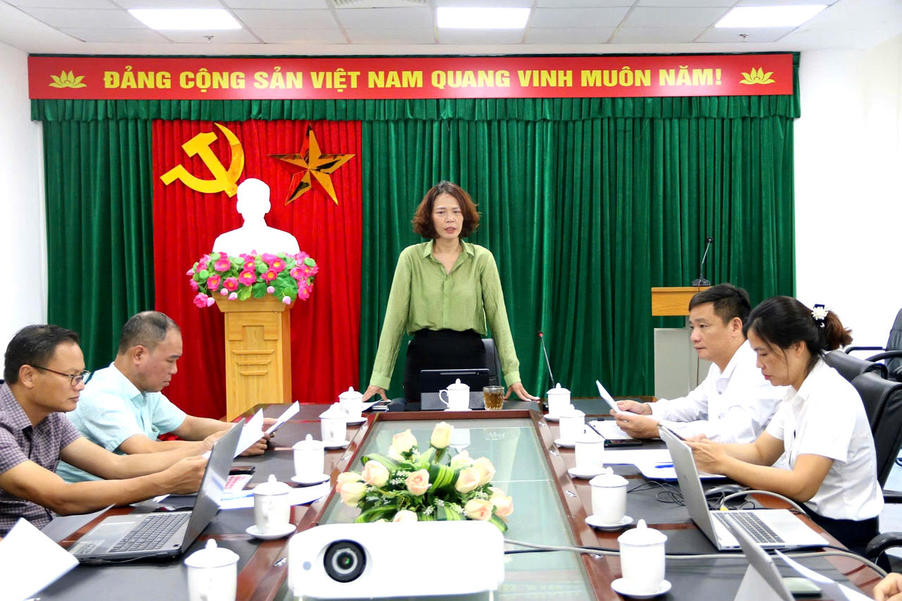 Bà Phạm Thị Tô Trang, Phó Giám đốc Sở Văn hóa, Thể thao và Du lịch, Trưởng Ban Tổ chức giải phát biểu tại cuộc họp