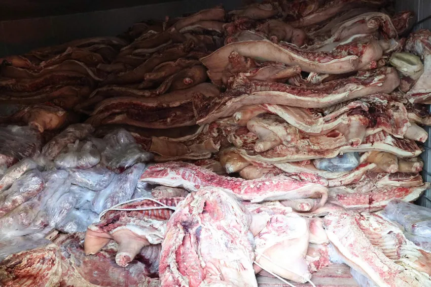 Số thịt lợn nhiễm dịch tả lợn Châu Phi được trữ đông. Ảnh: CAPT
