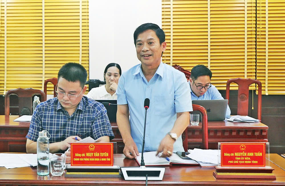 Phó Chủ tịch HĐND tỉnh Nguyễn Anh Tuấn phát biểu tại buổi làm việc.