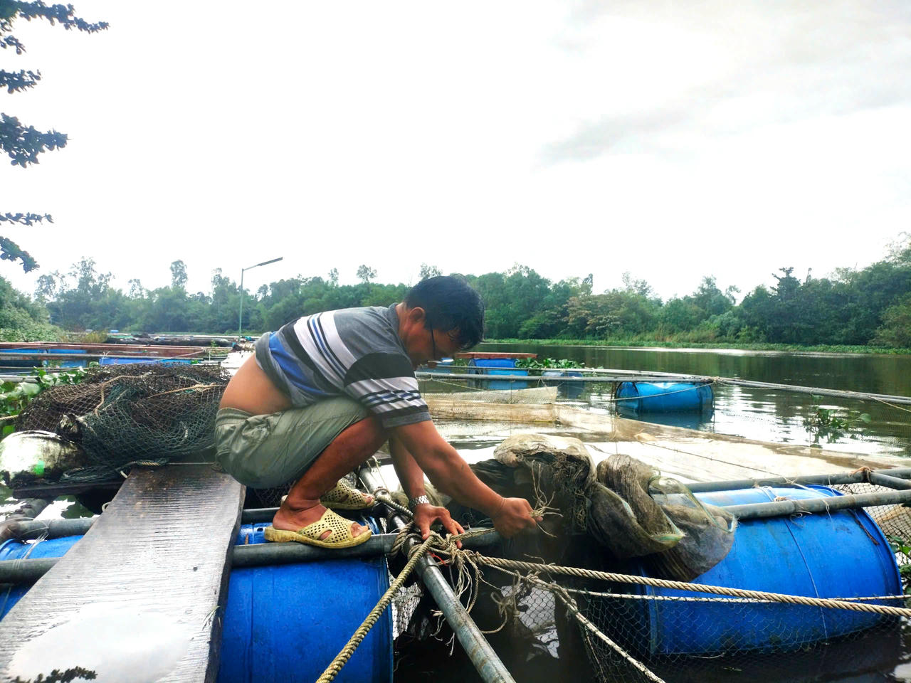 Người dân lồng bè hạ du hồ Phú Ninh tất bật “chạy lũ” trước bão số 12