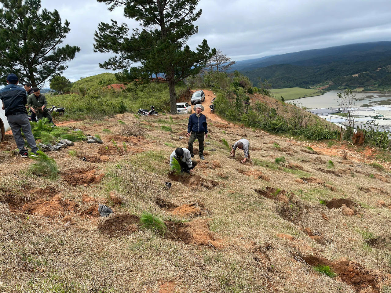 Gần 4.000 cây được trồng trong 2 ngày 21 và 22/10.