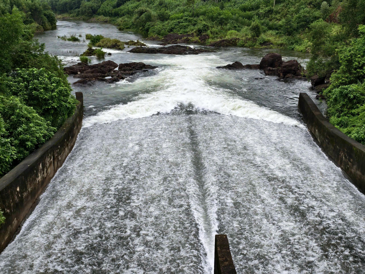 Người dân lồng bè hạ du hồ Phú Ninh tất bật “chạy lũ” trước bão số 12