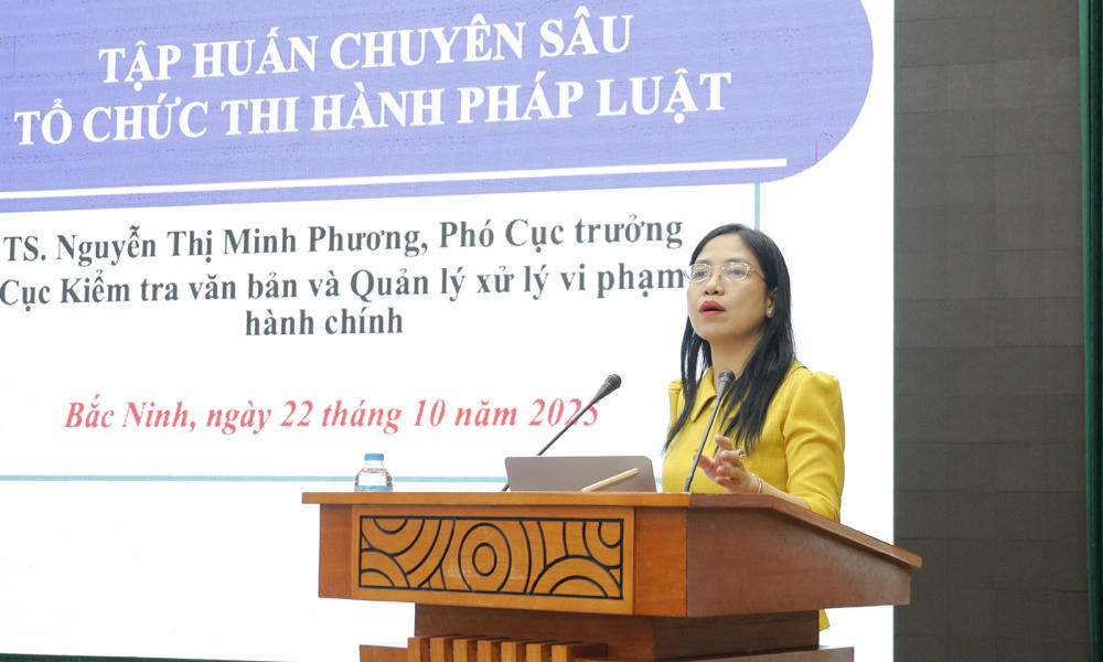 Bà&nbsp;Nguyễn Thị Minh Phương – Phó Cục trưởng Cục Kiểm tra văn bản quy phạm pháp luật và Quản lý xử lý vi phạm hành chính, Bộ Tư pháp phát biểu tại hội nghị.