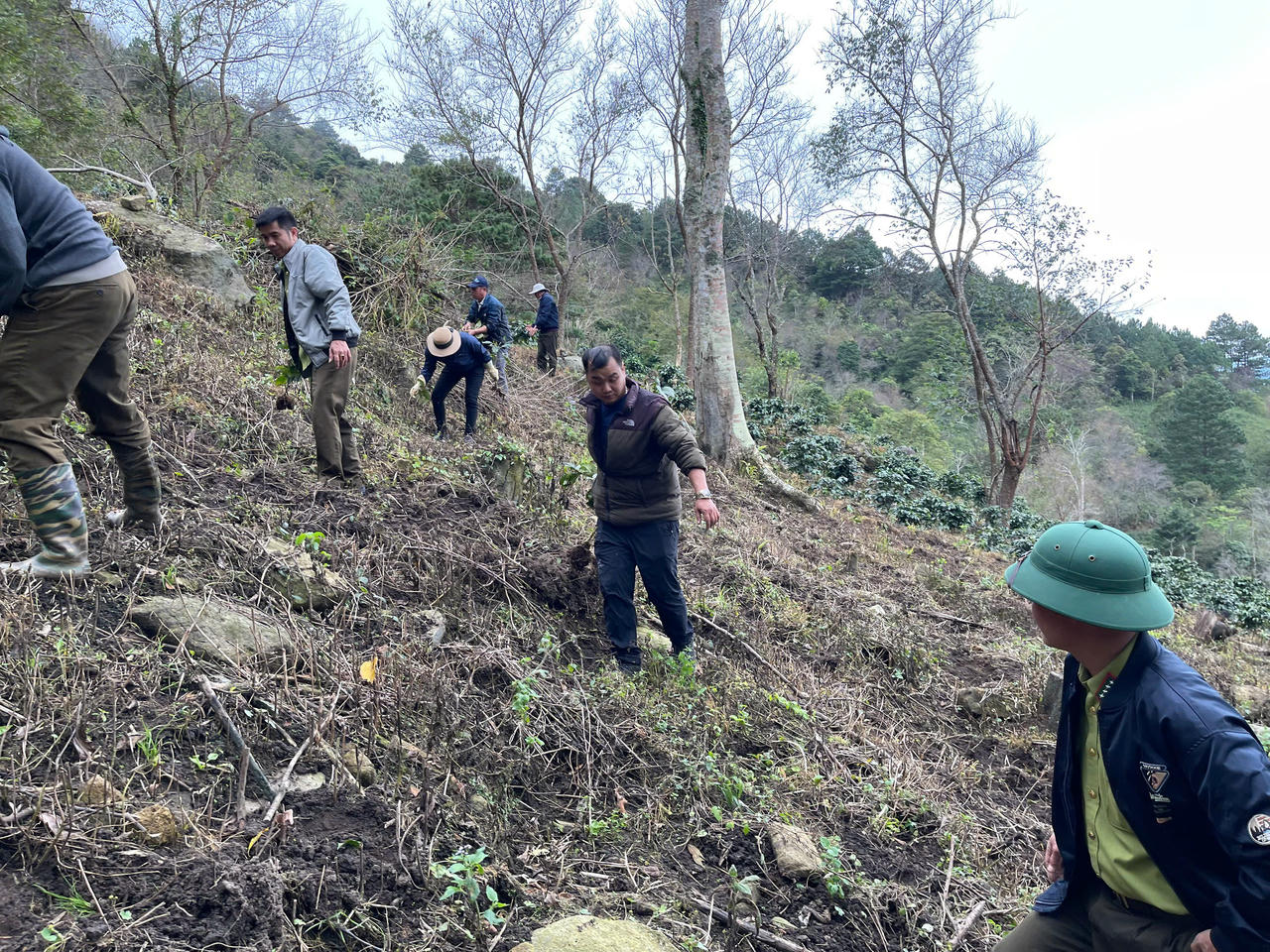 Lực lượng chức năng giải tỏa tới đâu thực hiện trồng rừng tới đó.