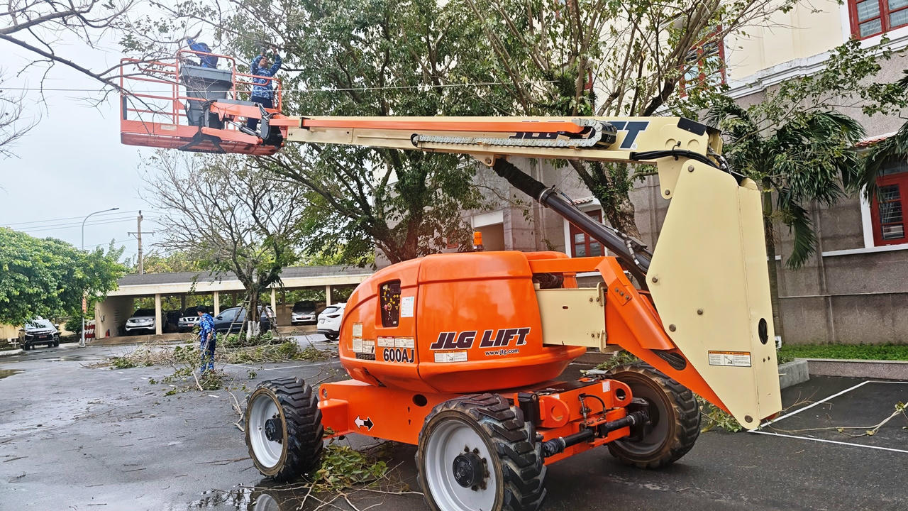 Cắt tỉa cây xanh phòng chống bão. 