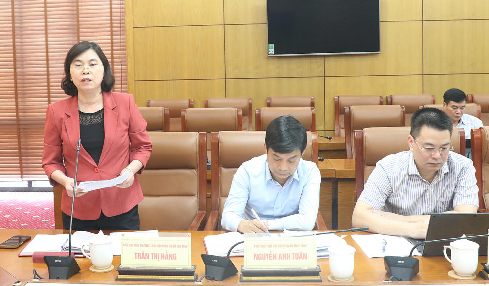 Phó Chủ tịch Thường trực HĐND tỉnh Trần Thị Hằng phát biểu tại phiên họp.

