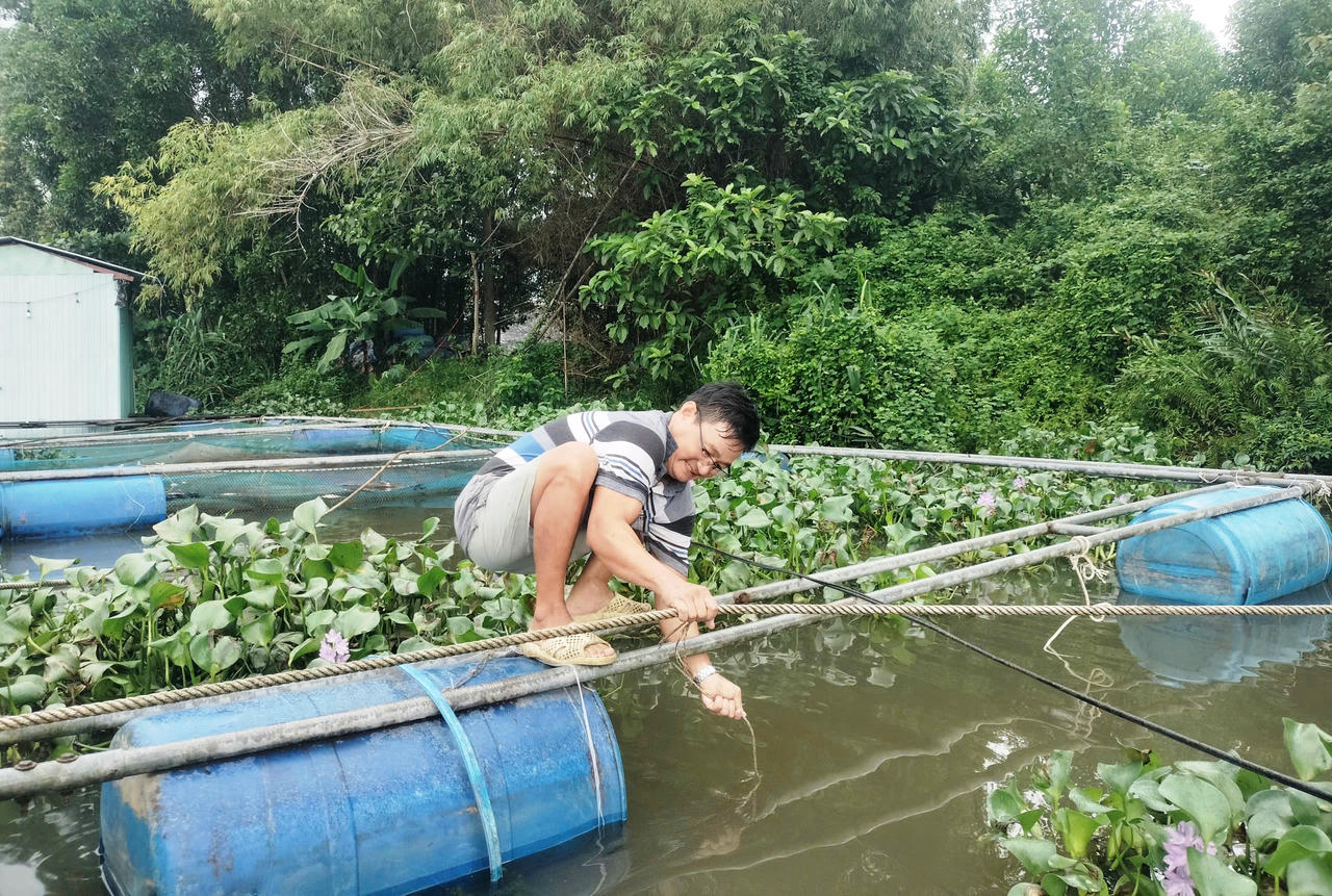 Người dân lồng bè hạ du hồ Phú Ninh tất bật “chạy lũ” trước bão số 12