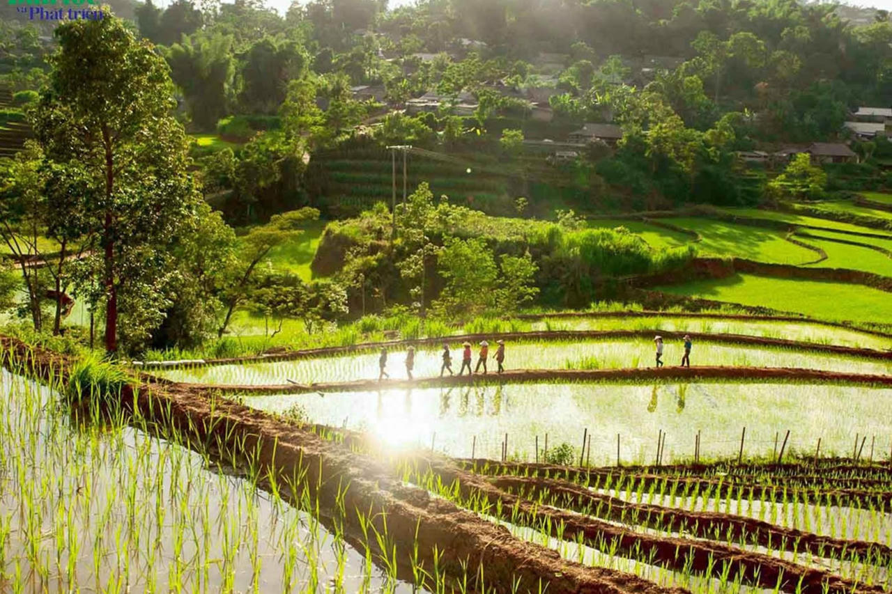 Tiêu chí phân định địa bàn thôn, xã từ 1/12/2025