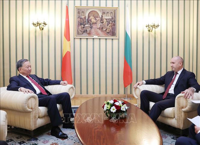 Tổng Bí thư Tô Lâm và Tổng thống Cộng hòa Bulgaria Rumen Radev hội đàm hẹp. Ảnh: Thống Nhất/TTXVN