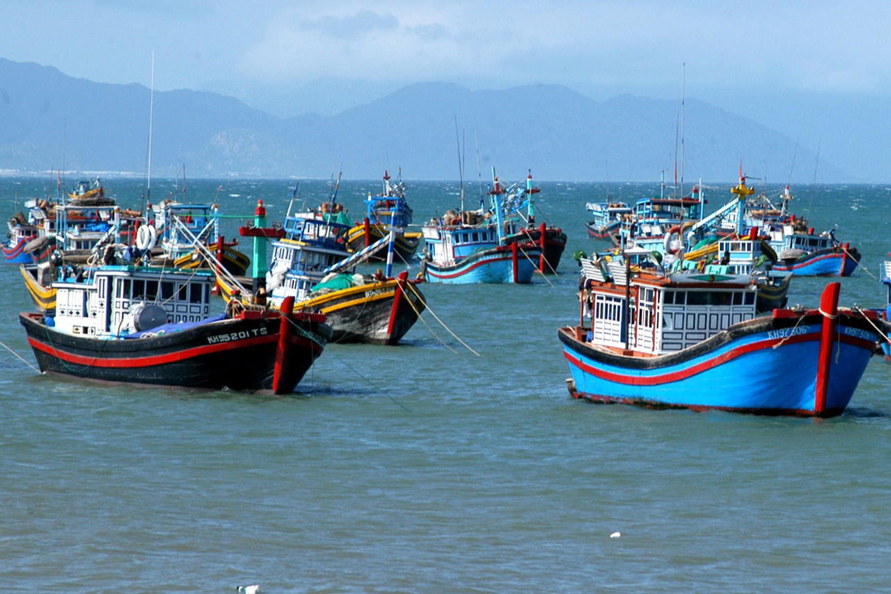 Kiên quyết chống khai thác IUU, phát triển bền vững ngành thuỷ sản vì lợi ích quốc gia