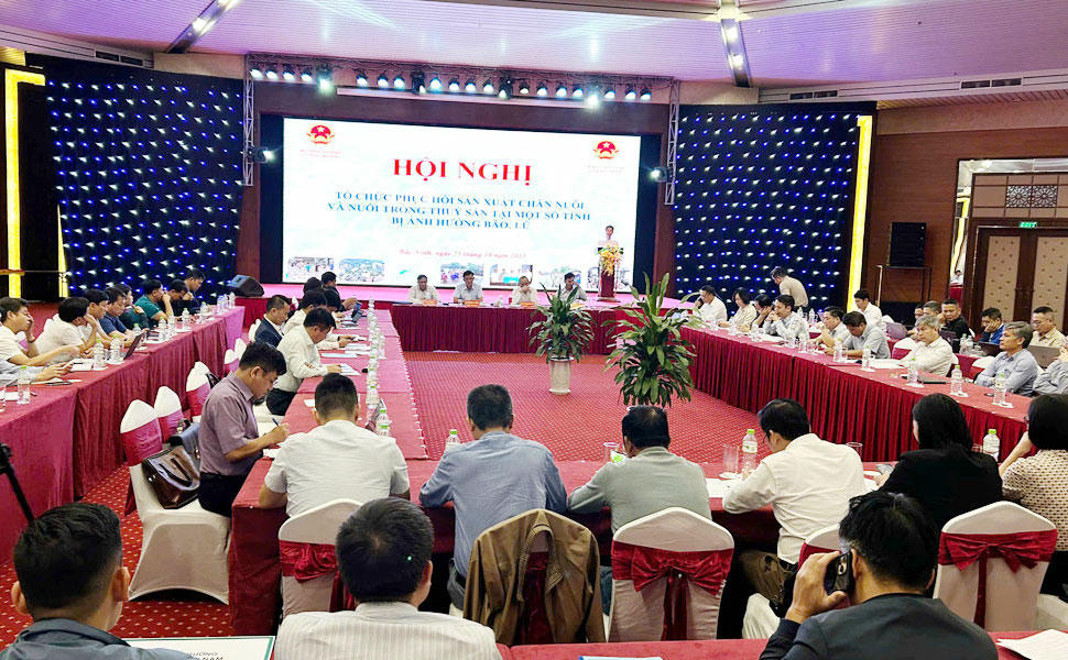 Bàn giải pháp khôi phục sản xuất chăn nuôi và thủy sản tại các tỉnh sau bão lũ