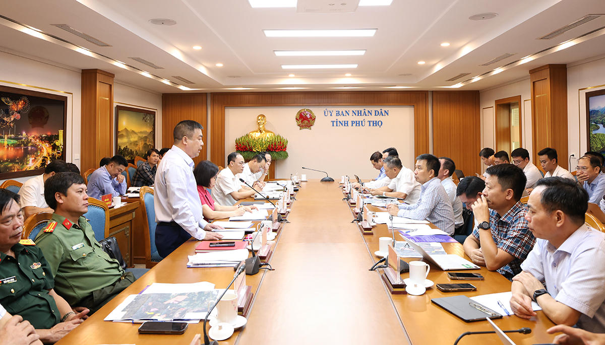 Triển khai các dự án truyền tải điện cấp bách phục vụ nhập khẩu điện từ Lào