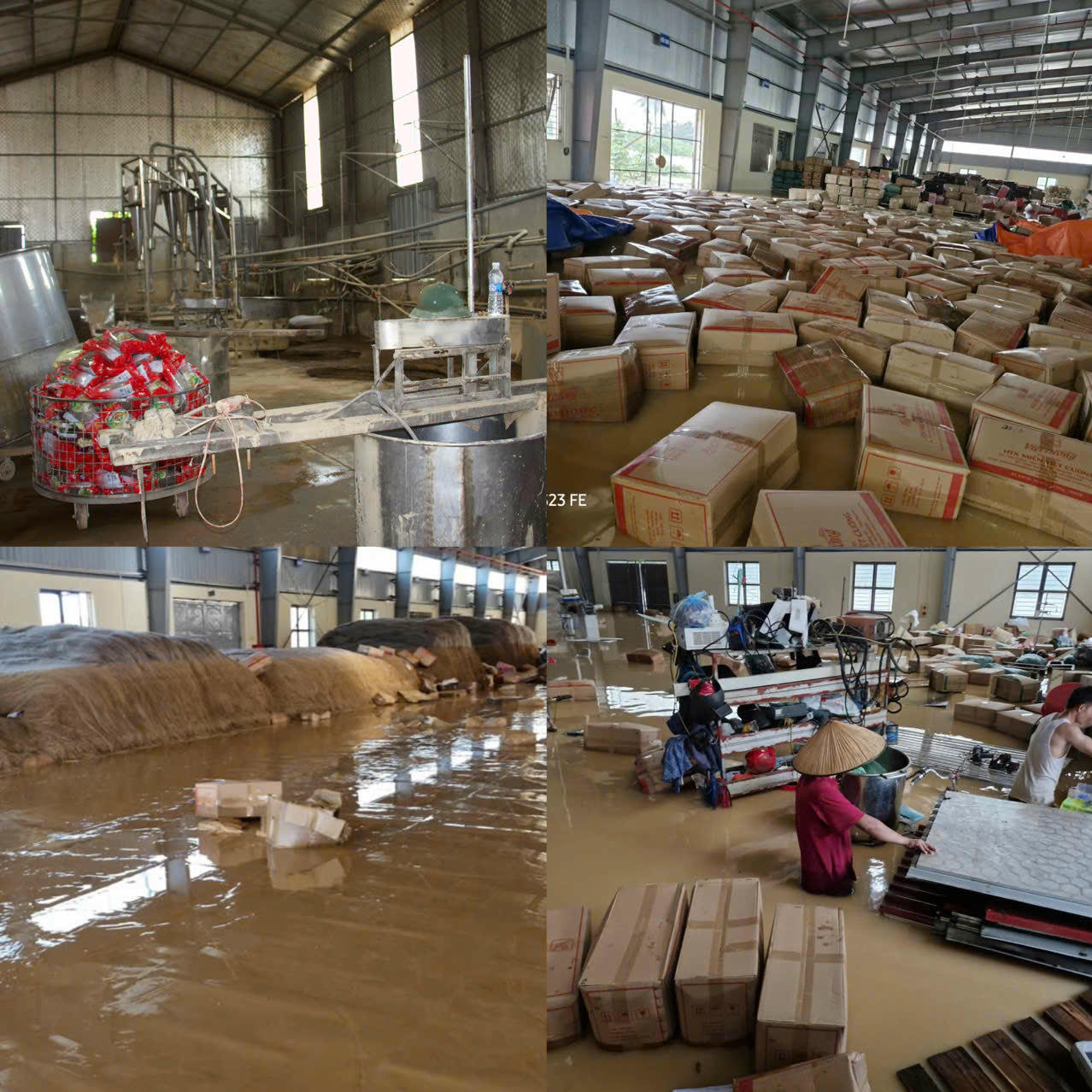 Xưởng miến của Hợp tác xã Việt Cường ngập hoàn toàn trong nước lũ.