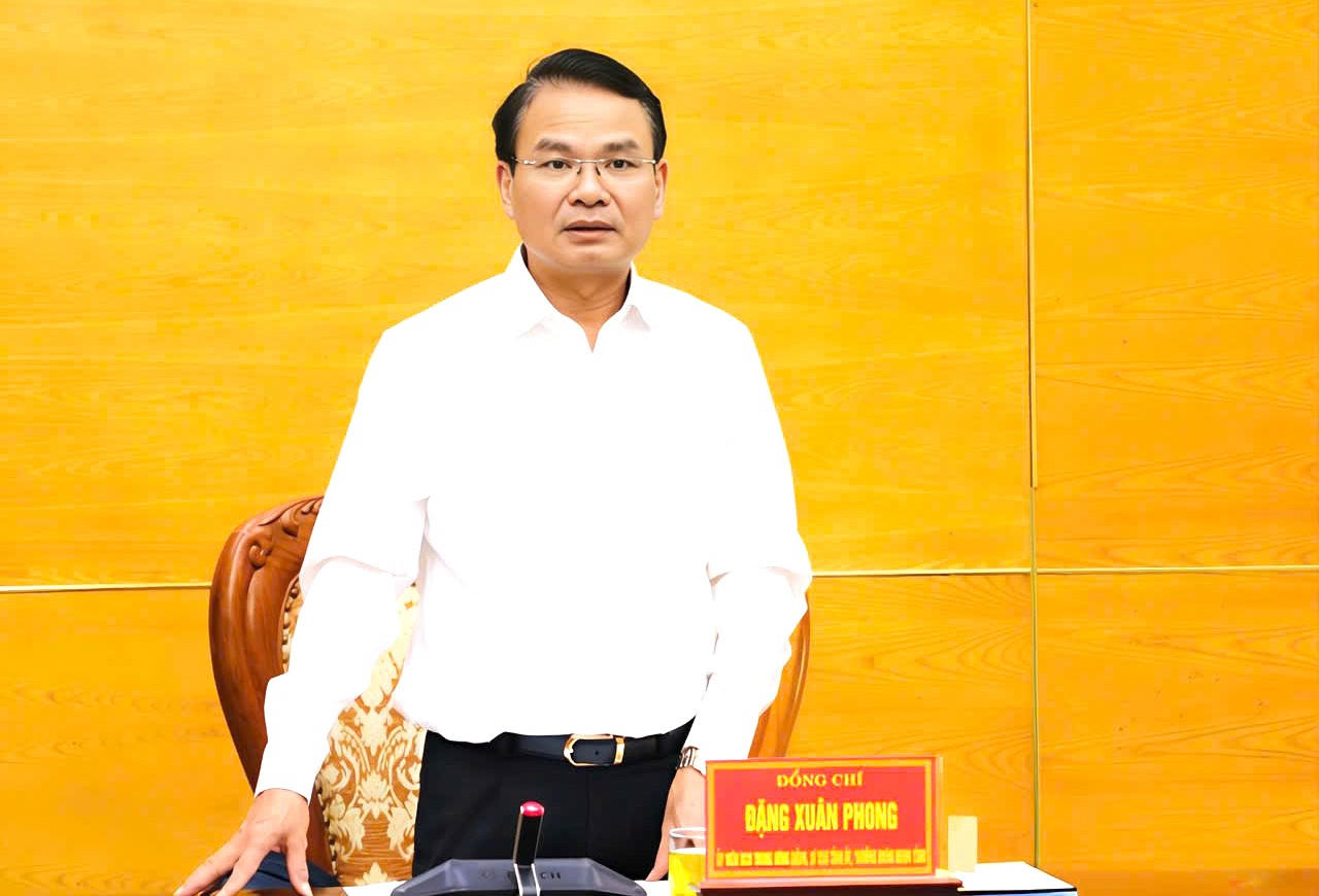 Bí thư Tỉnh ủy Ninh Bình&nbsp;Đặng Xuân Phong phát&nbsp;biểu kết luận hội nghị.