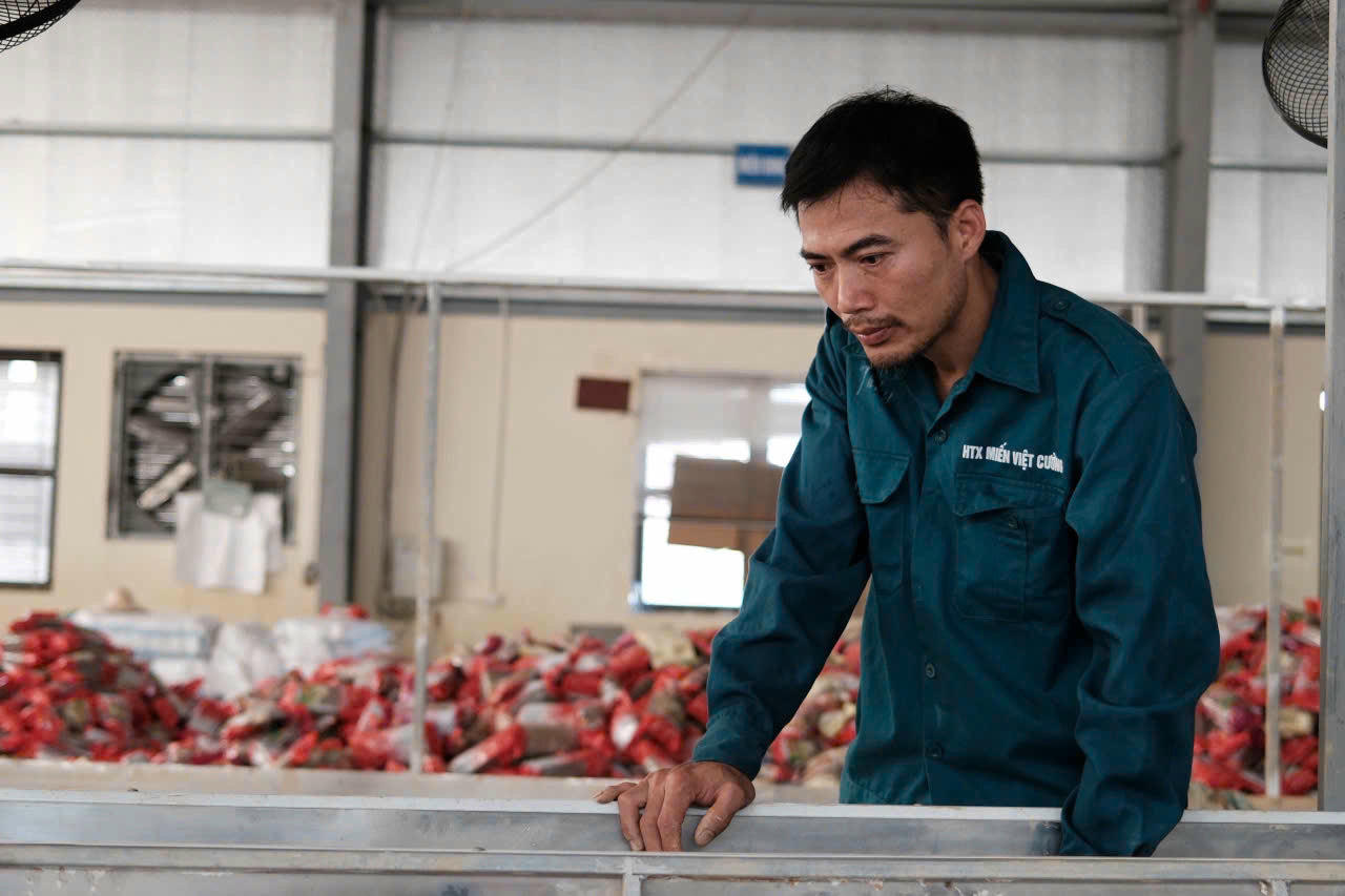 Anh Nguyễn Văn Ba, Giám đốc Hợp tác xã Việt Cường vẫn còn bần thần về những gì đang xảy ra.