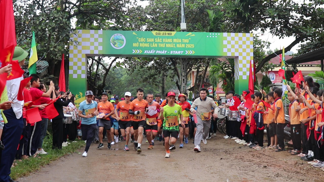 Các vận động viên xuất phát.&nbsp;. 