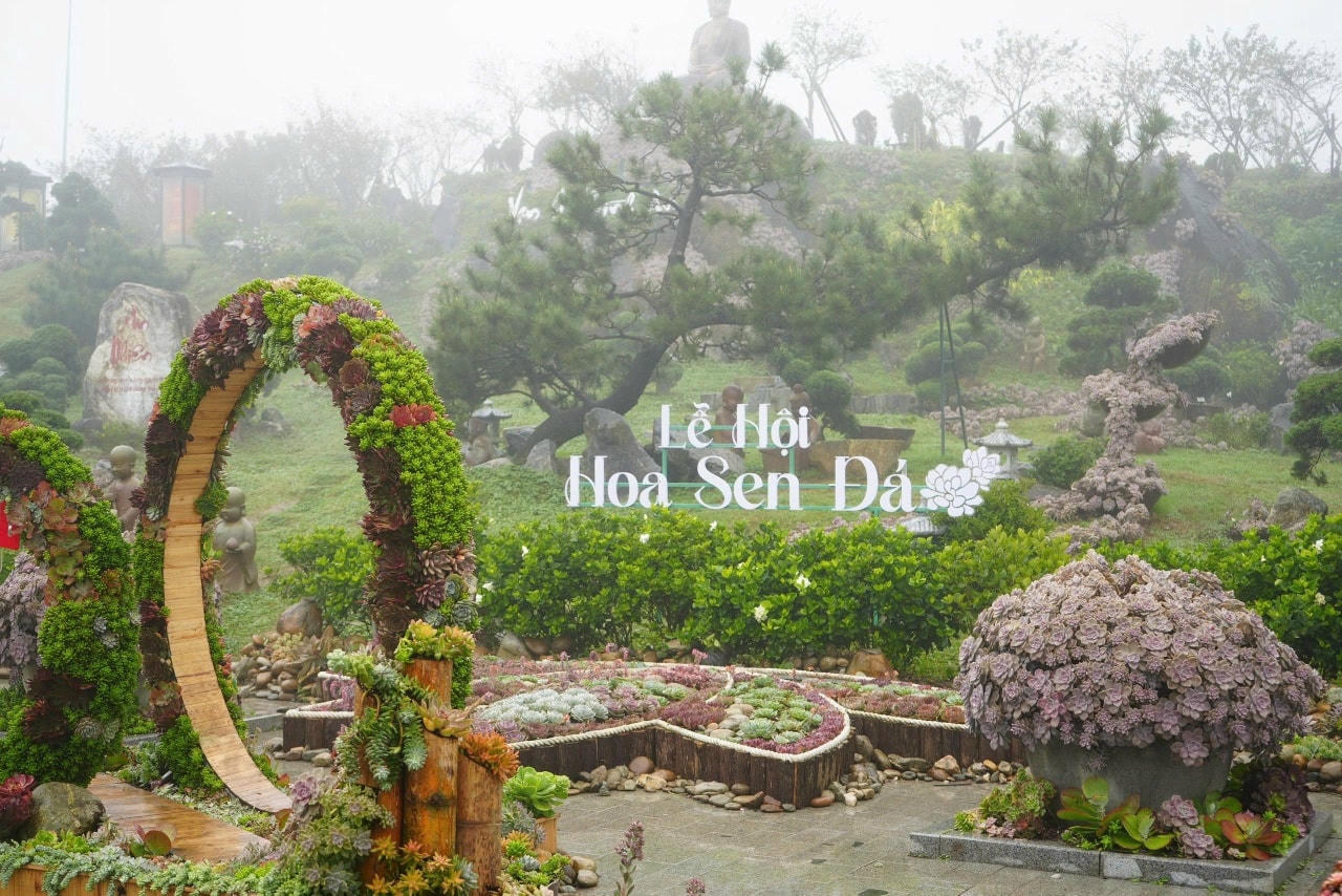 Tại Lễ hội Sen đá lần thứ hai, du khách có thể tham gia cuộc thi “Trồng sen đá”, tự tay gieo mầm bình yên, tạo nên kỷ vật nhỏ lưu giữ phút giây an nhiên, tĩnh tại cho riêng mình.