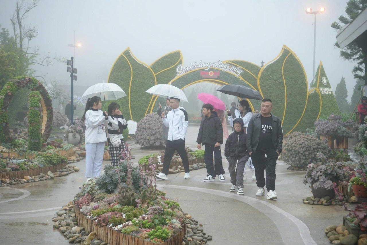 Khai mạc Lễ hội Mùa Đông và Lễ hội Hoa Sen đá 2025 – “Vũ điệu mùa Đông trong mạch nguồn văn hóa”