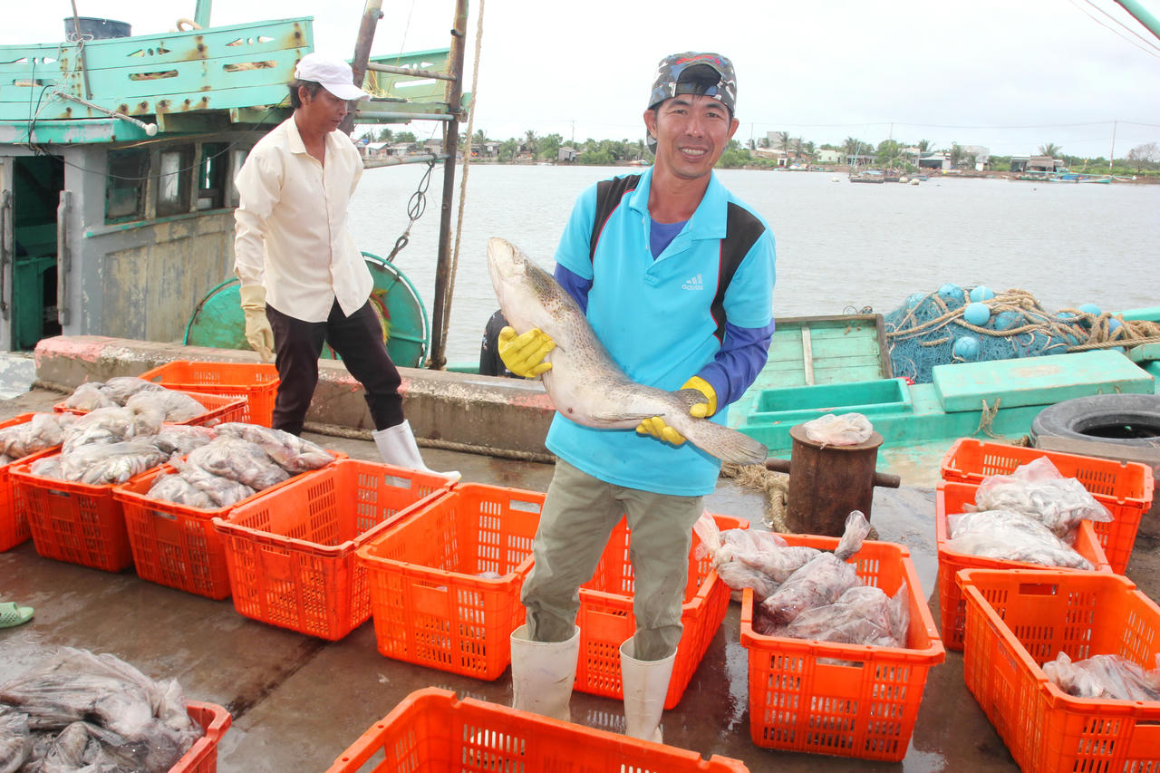 Ngư dân Cà Mau là lực lượng trực tiếp trên biển, vừa mưu sinh, vừa góp phần bảo vệ chủ quyền quốc gia.