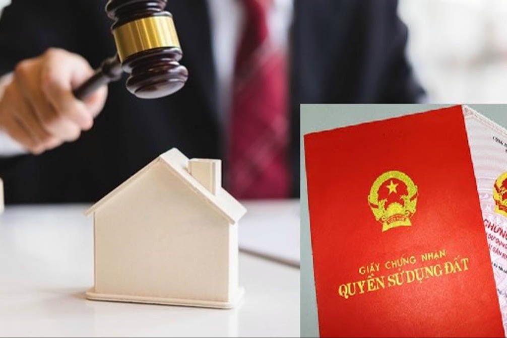 Trúng đấu giá quyền sử dụng đất nhưng không nộp tiền đúng hạn bị xử lý như nào?