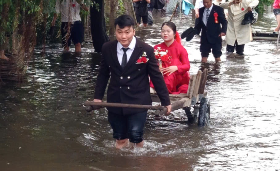 Hình ảnh chú rể kéo xe bò đưa cô dâu rời vùng ngập để làm lễ cưới ở phường Điện Bàn Đông.