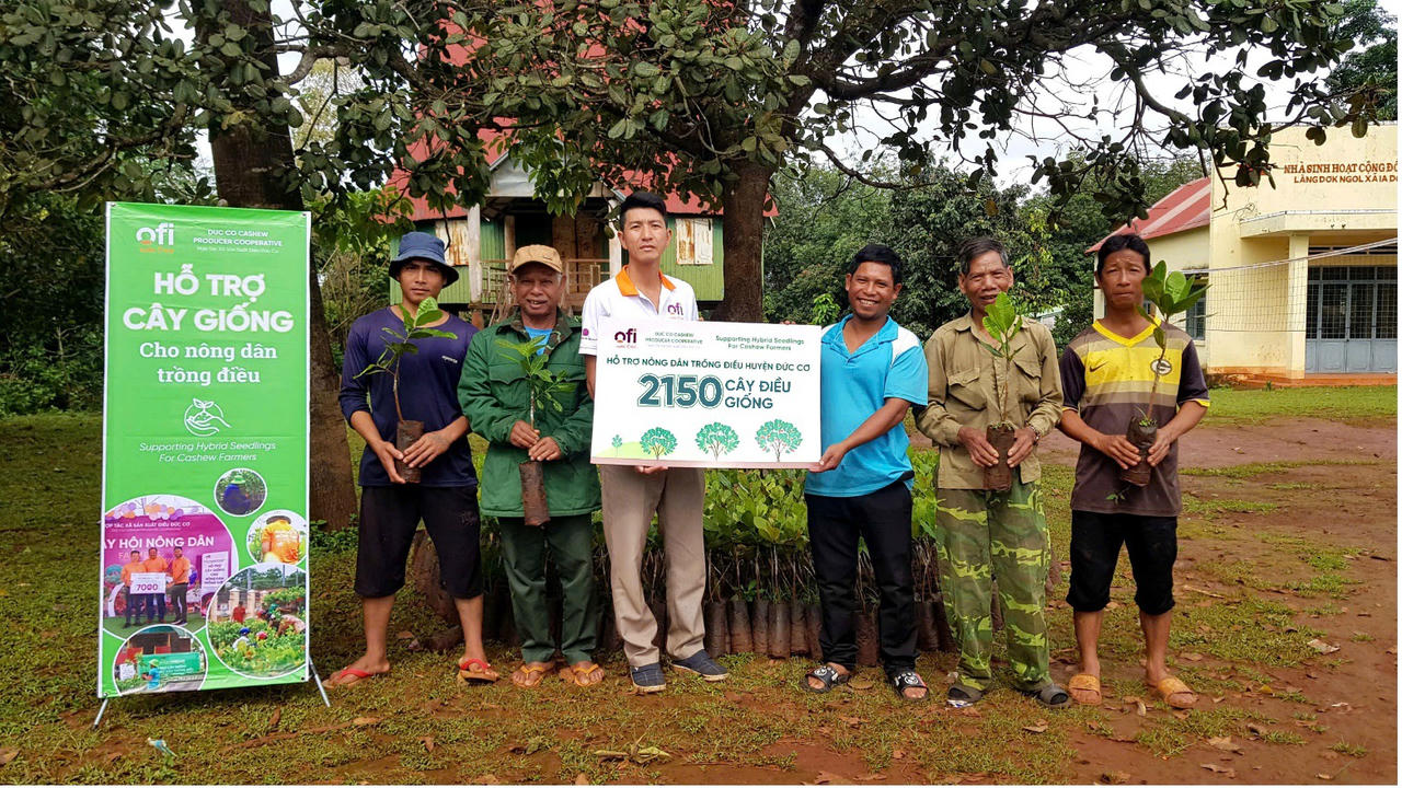 Nông dân được trao tặng cây điều giống chất lượng cao từ ofi Việt Nam. (Ảnh: Tài Lộc).