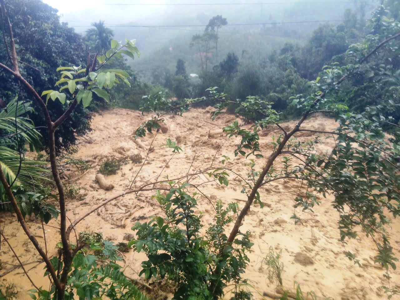 Một phần ngọn núi bị sạt lở nghiêm trọng.