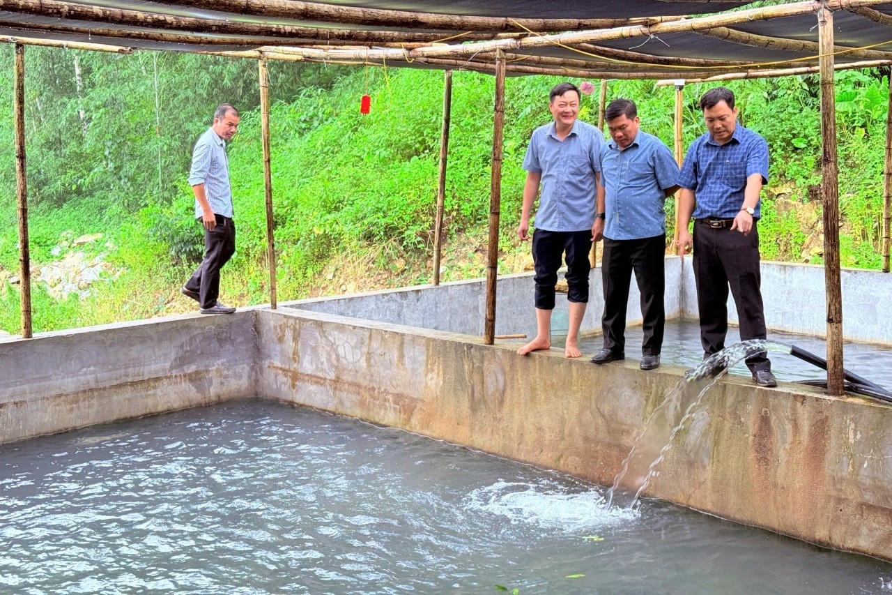 Lãnh đạo xã Hiền Kiệt tham quan mô hình nuôi cá tầm trên địa bàn.