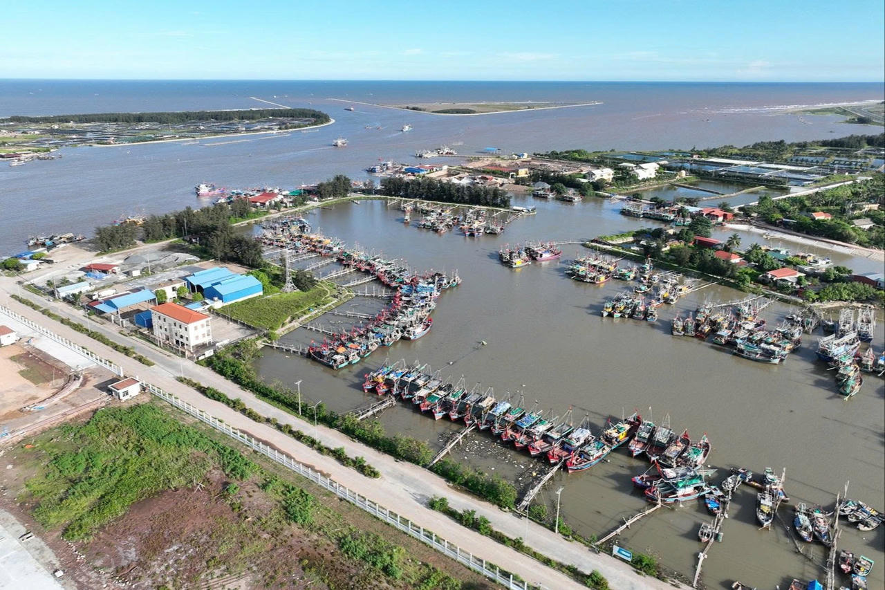 Ninh Bình quyết liệt triển khai nhiều biện pháp cùng cả nước gỡ bỏ cảnh báo 'thẻ vàng' của EC