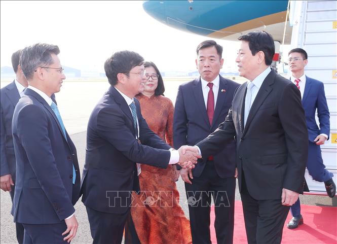 Đại biểu đón Chủ tịch nước Lương Cường tại sân bay quân sự Gimhae ở thành phố Busan (Hàn Quốc). Ảnh: Lâm Khánh/TTXVN