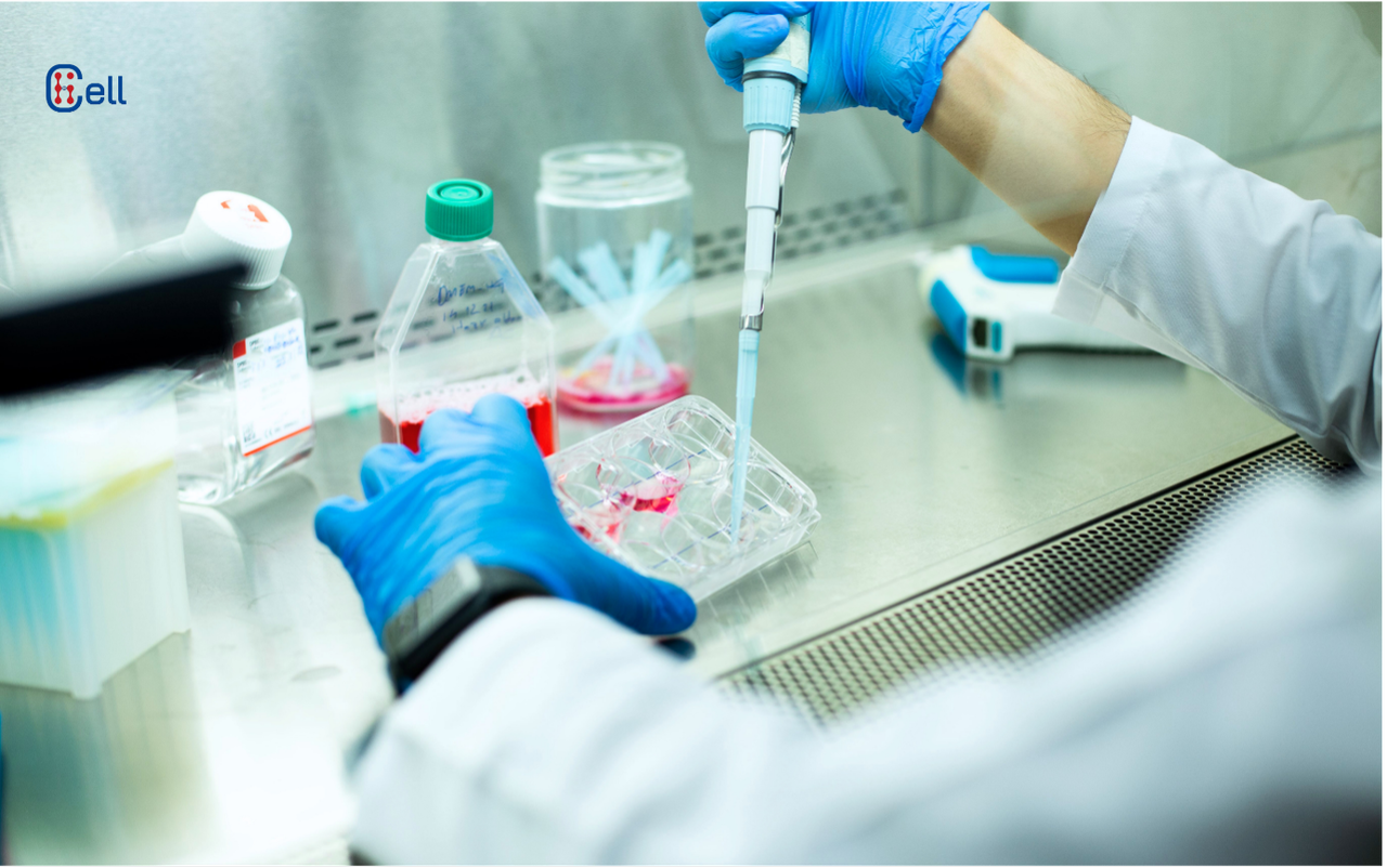 Phòng khám Đa khoa Việt Nhật Hà Nội – Tiên phong trong lĩnh vực y học tái tạo, hướng tới trung tâm hàng đầu Việt Nam