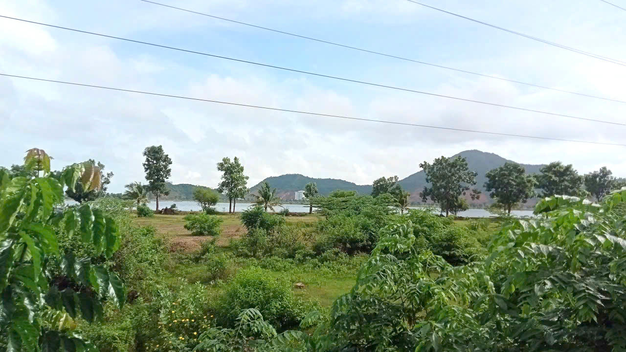 Khu đất của dự án Khu đô thị - Du lịch - Văn hóa - Thể thao hồ Phú Hòa gần như rơi vào tình trạng “đắp chiếu”, nhiều khu vực cỏ mọc um tùm.