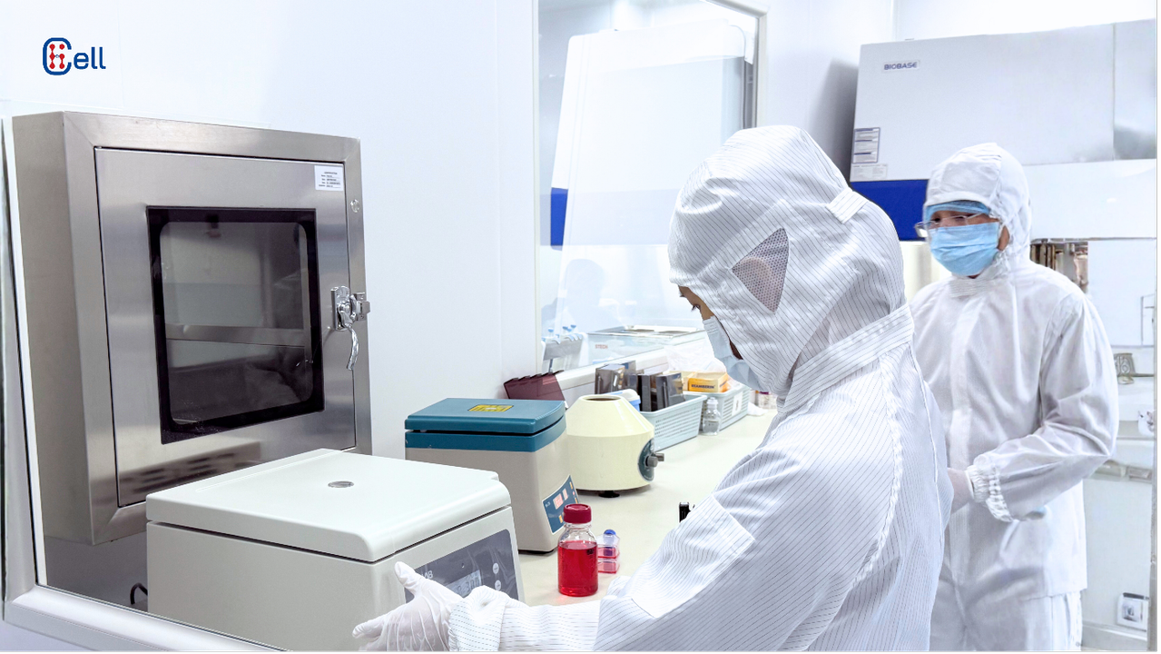 Phòng khám Đa khoa Việt Nhật Hà Nội – Tiên phong trong lĩnh vực y học tái tạo, hướng tới trung tâm hàng đầu Việt Nam