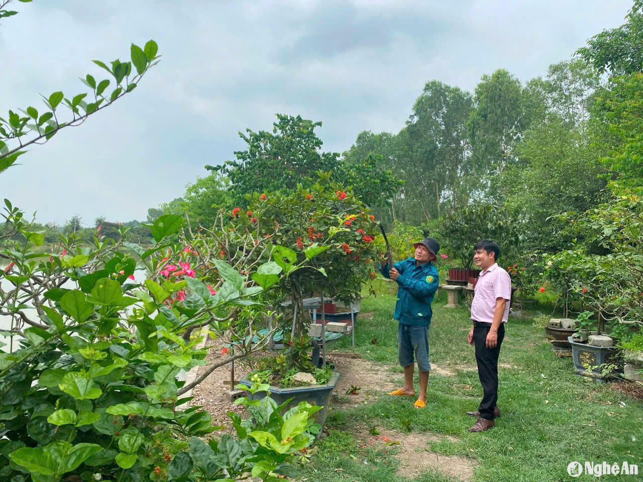 Nhờ vốn chính sách , nhiều họ gia đình ở vùng đất Diễn Châu chủ động phát triển sản xuất kinh doanh, cải thiện cuộc sống.