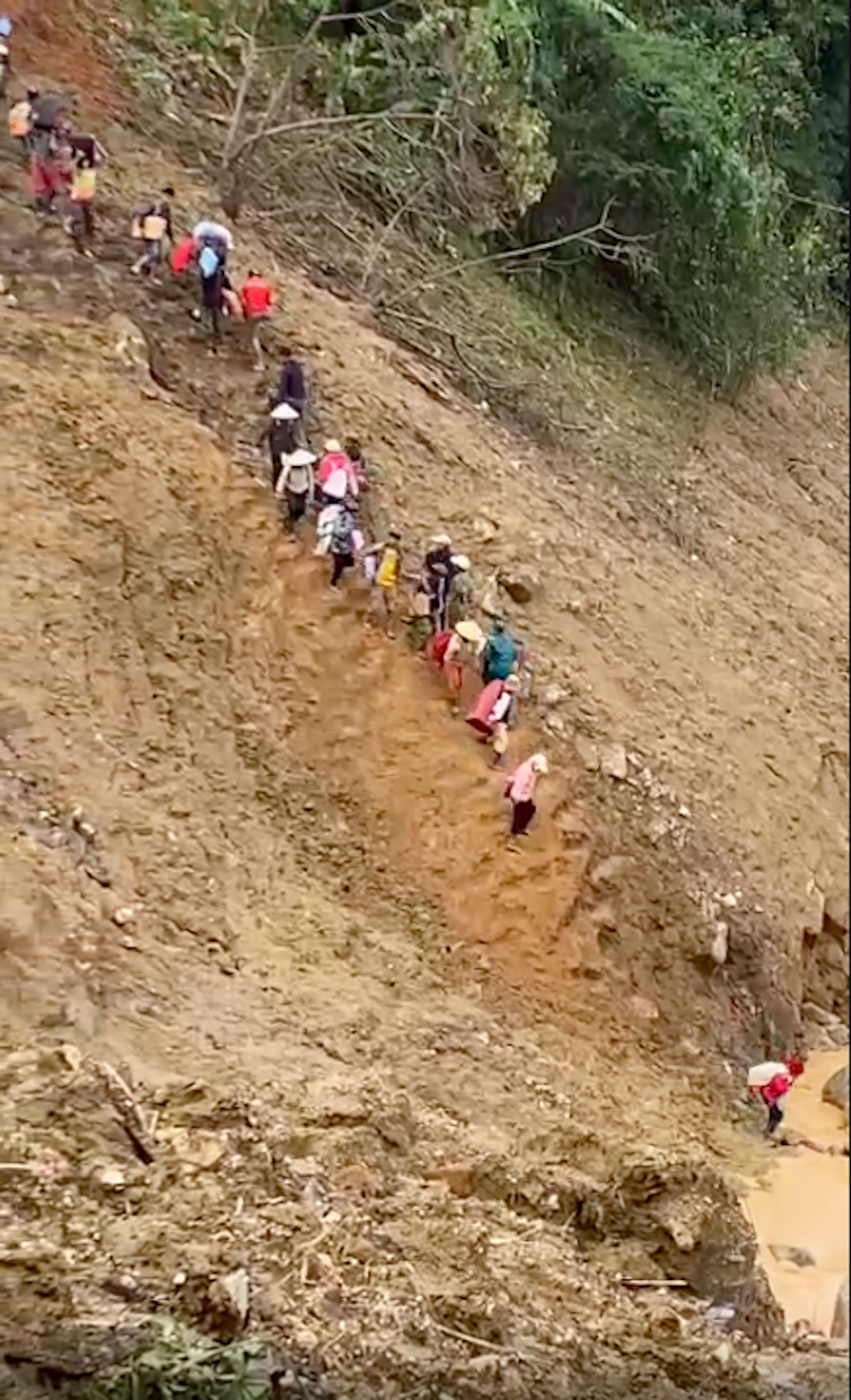 Người dân cùng cán bộ xã Ngọc Linh băng rừng theo đường mòn dựng đứng trên sườn núi để gùi lương thực, nhu yếu phẩm vào khu vực bị cô lập. (Ảnh cắt từ clip)