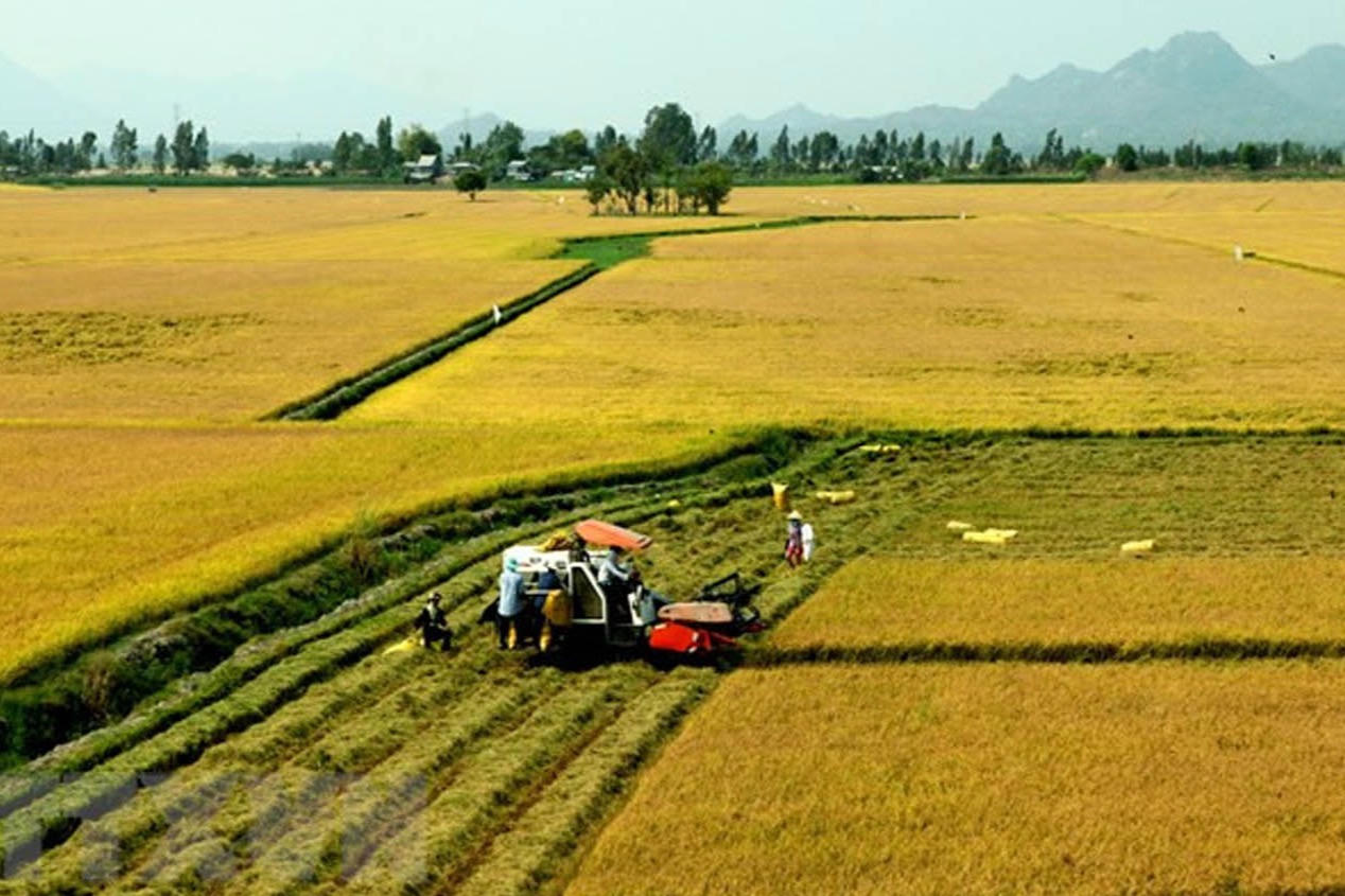 Đất hết thời hạn nhưng không gia hạn thì có bị thu hồi?