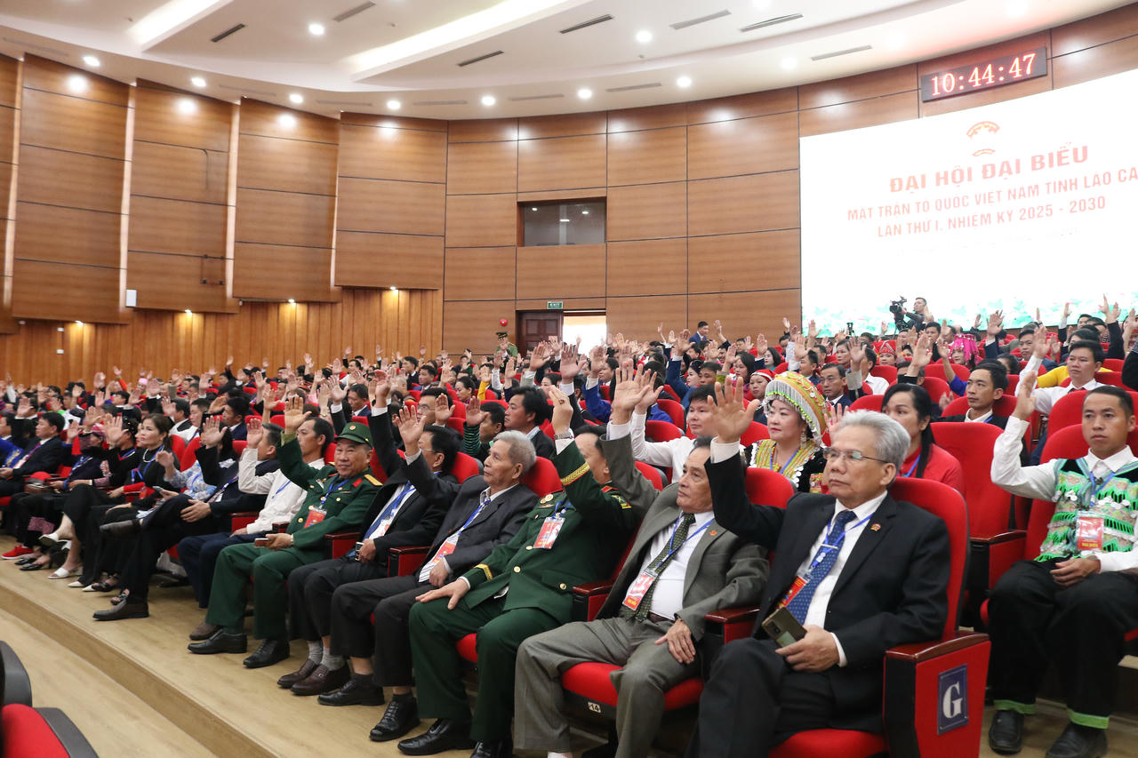 Các đại biểu biểu quyết tại&nbsp;