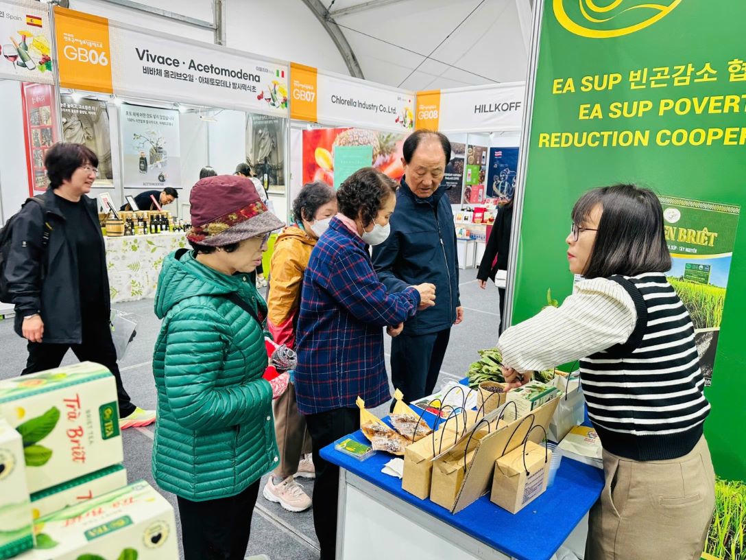 Khách Hàn Quốc trải nghiệm hạt gạo Ea Súp của doanh nghiệp Đắk Lắk (Ảnh Mỹ Hạnh)