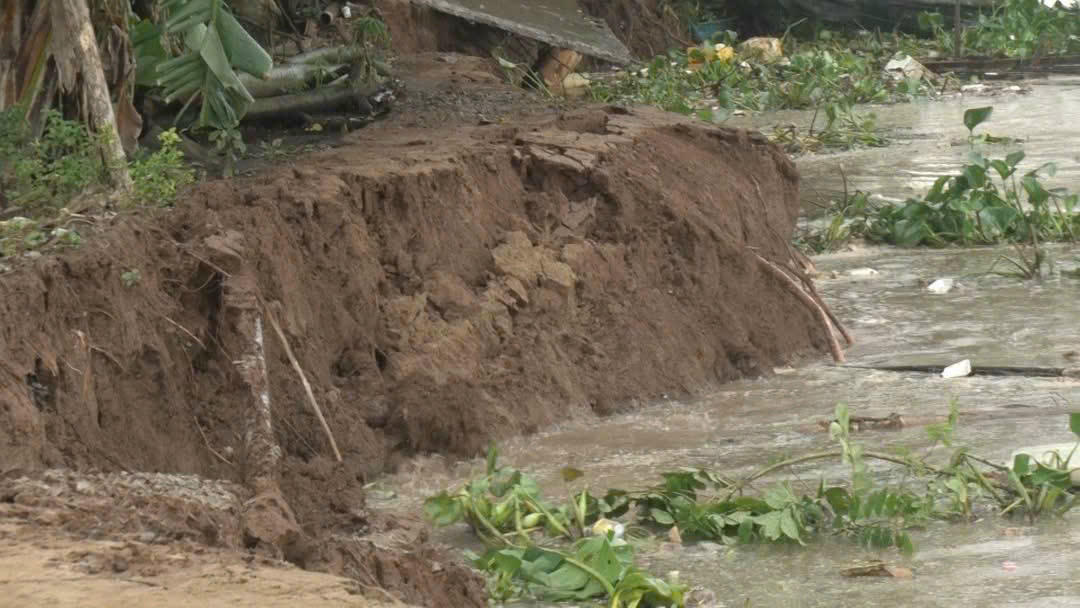 Hiện trường vụ sạt lở bờ sông nghiêm trọng tại xã Mỹ Hòa Hưng, 12 hộ dân phải di dời khẩn cấp.