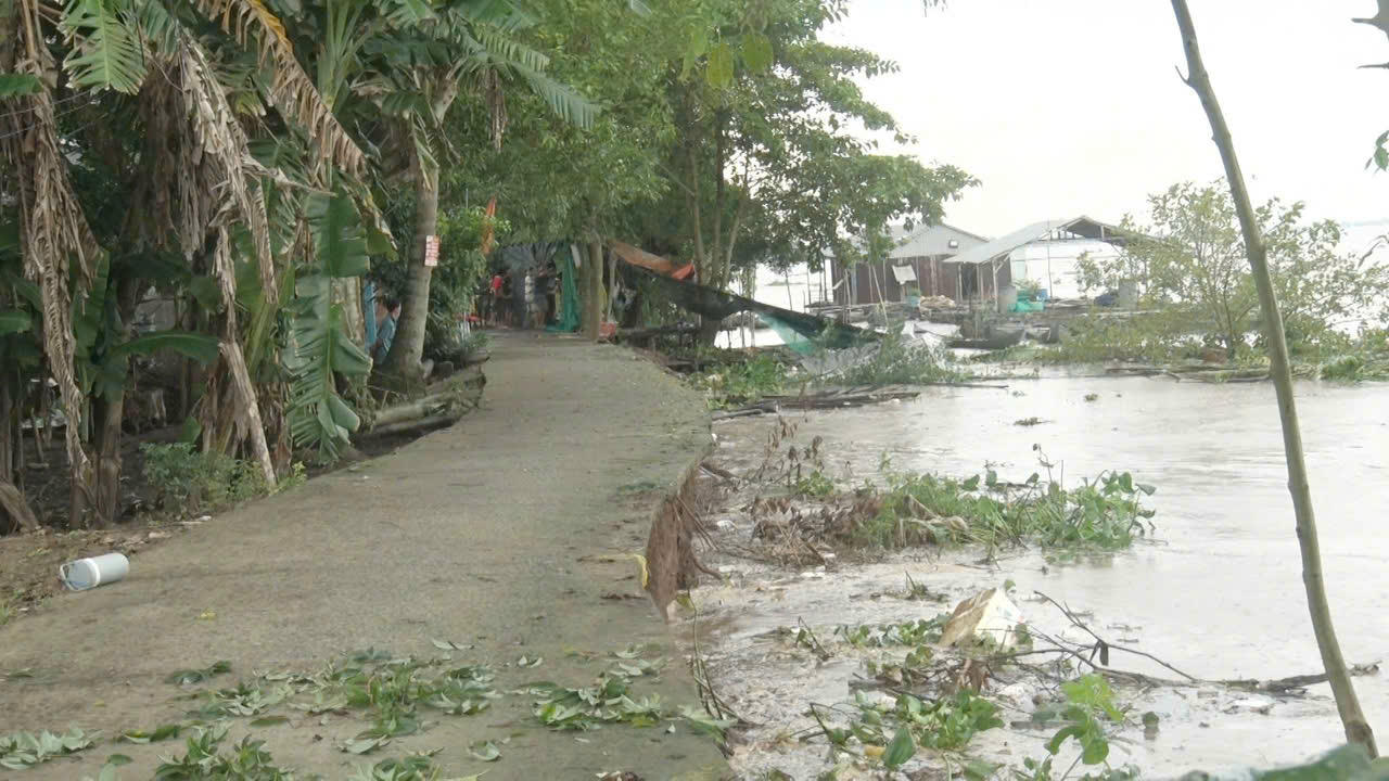 Sạt lở bờ sông nghiêm trọng tại xã Mỹ Hòa Hưng (tỉnh An Giang), 12 hộ dân phải di dời khẩn cấp